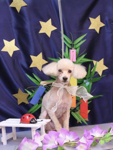 20230712てぃにぃちゃん